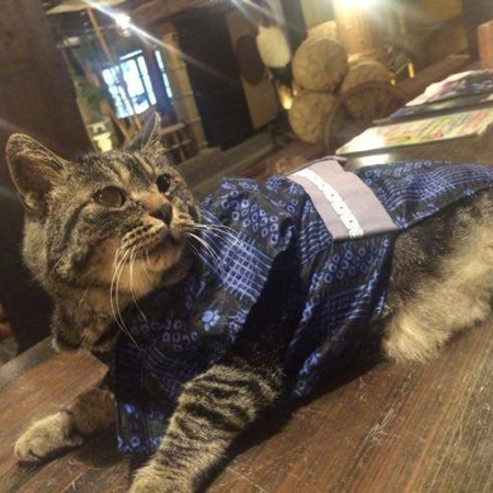 楽天トラベル提供