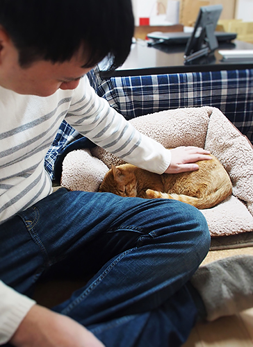 何かにつけ、にゃあを撫でている邦彦さん