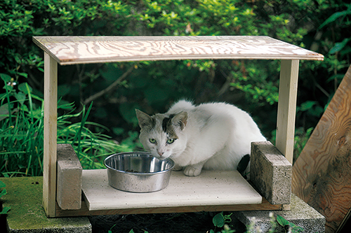 太田家の庭の全天候型食堂　扶桑社/(C)太田康介