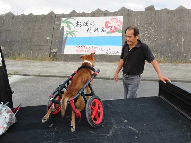 亀津新漁港での島田さんとラッキー。壁には「おぼらだれん」（島言葉で感謝の意）(撮影＝小林照幸)