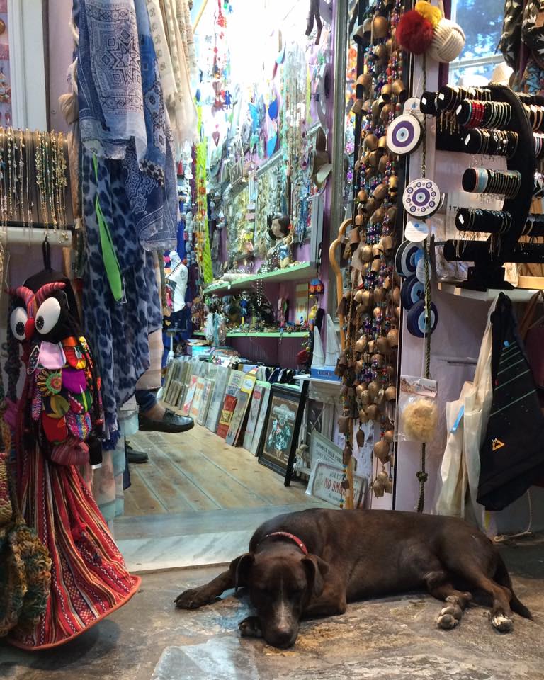 「夜になってようやく涼しくなってきたよね、ご主人」（スコぺロス島）