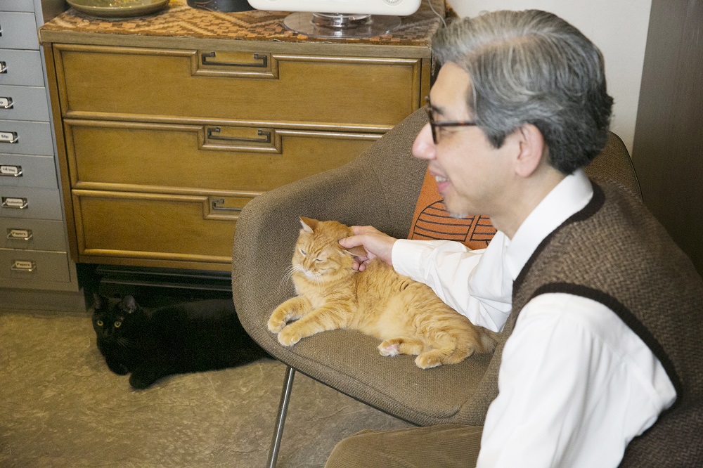 なでなでも大好き