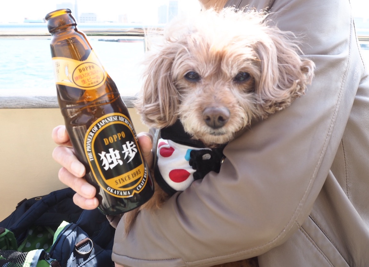 「海風に吹かれて飲むビールはサイコー！」（オカン）、「はいはい（呆）」（ぷり）