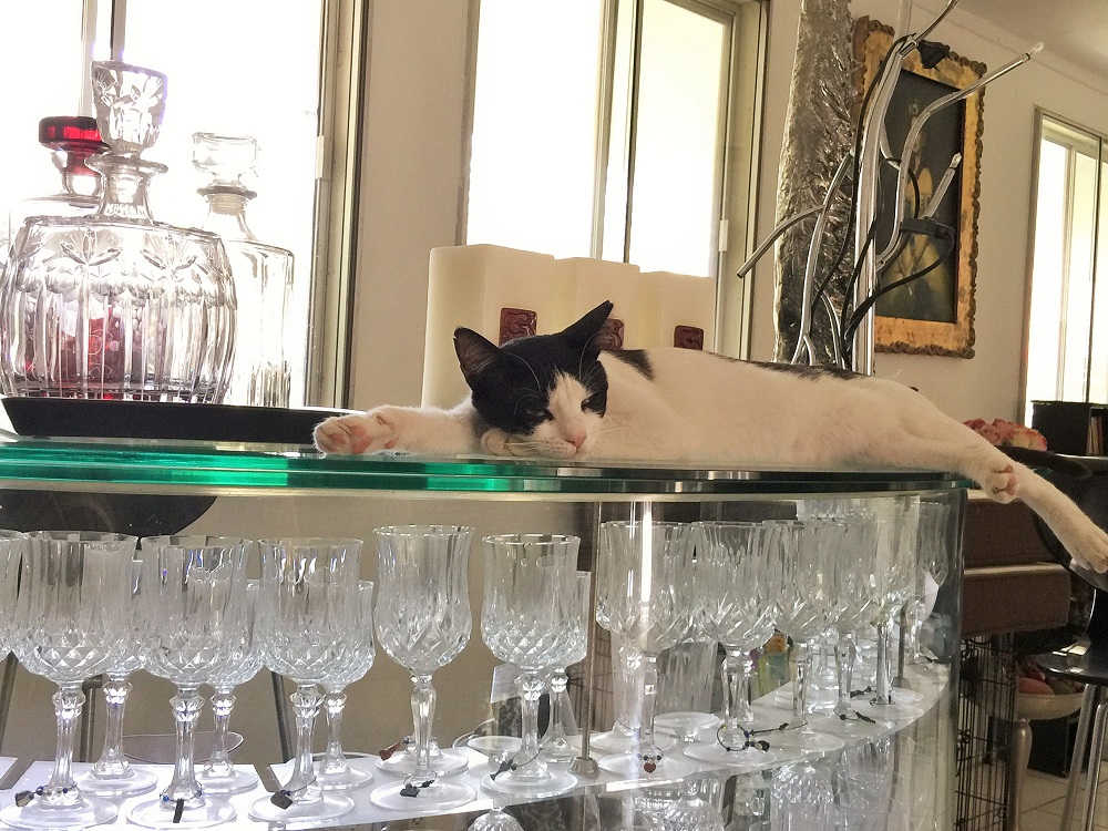 「ラマダンだとお客さん来なくて困っちゃうのねえ」というクラブのママ風．．．