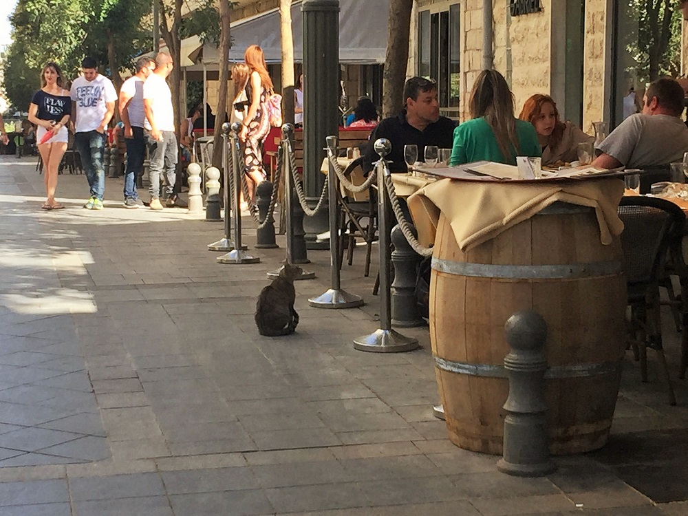 「ねえねえ、なんかおこぼれちょうだい」的な．．．