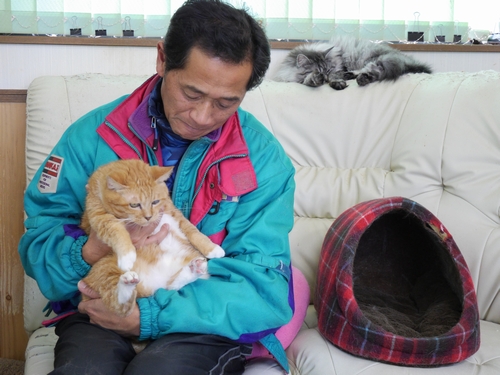 シェルターのソファで猫を抱く赤間さん