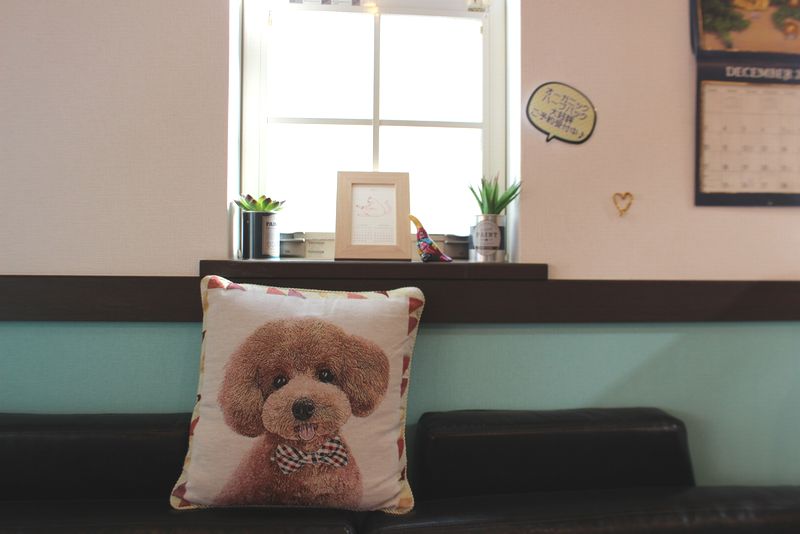 アニマル・ハート・レスキューの室内