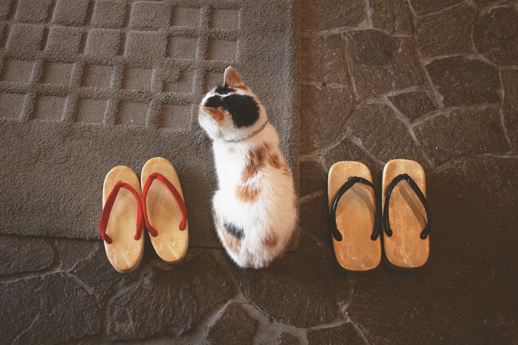 箱根強羅温泉「強羅花扇　早雲閣」ミー　写真＝伴田良輔