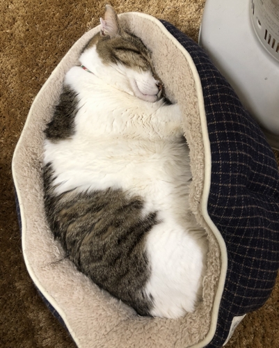 見事なフィット感！（丹竜治さん撮影）