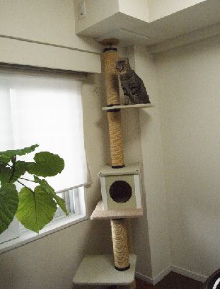 上まで行って　　写真＝明日香さん