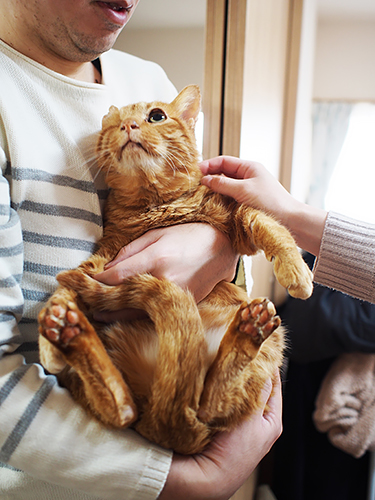 抱っこはあんまり好きじゃないけど、我慢