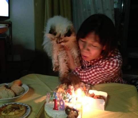 １９歳の誕生日会で、飼い主の安藤さんと＝１５年１０月、田中さん撮影