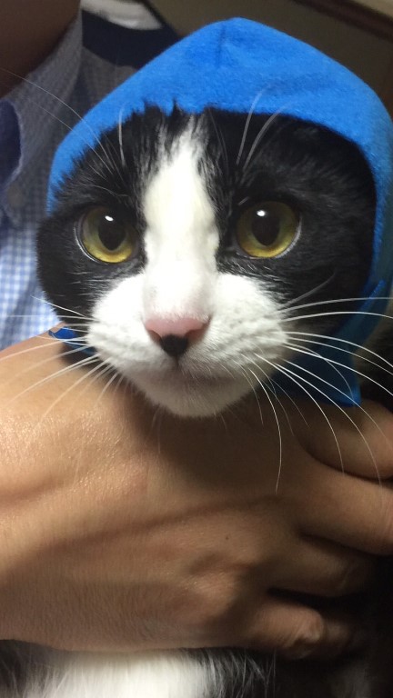 「猫より、りすが好き」青ずきんちゃんこと、うなぎ