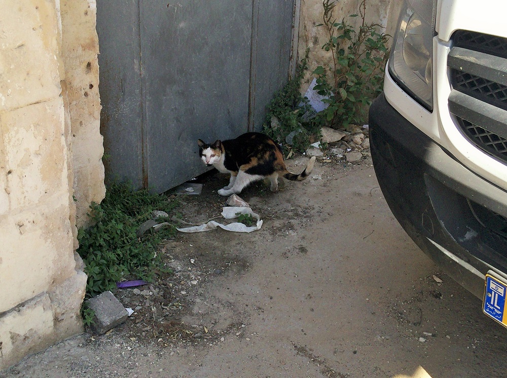 「お手洗い中！」大変、失礼しましたー