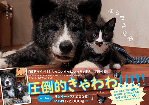 「はちわれ兄弟」