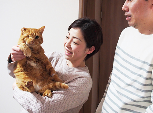 夫婦の休日の楽しみは、にゃあと過ごすこと