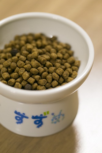 手作りのネーム入り食器、素敵でしょ♪うなぎともお揃い！