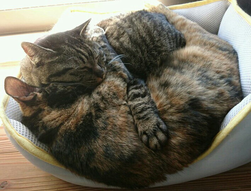 抱き合って眠ります。