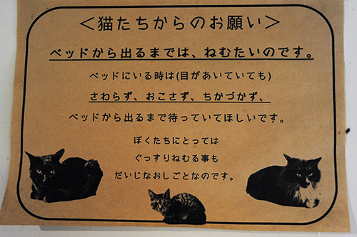 眠っている猫をそのままにしておいてほしいという注意書き