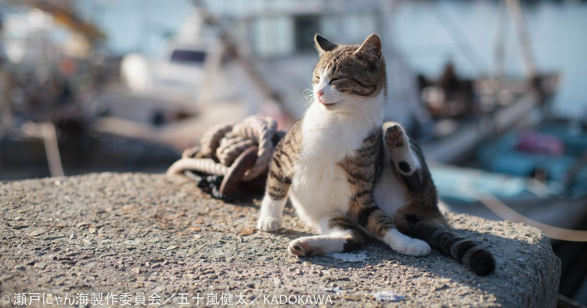 df999630a68b3fc458c54a04c8bb90