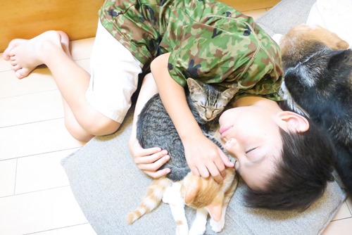 ぬくもりを忘れないよ　しあわせになろうね　