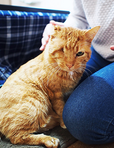 人の愛に飢えていたのか、かなりの甘えん坊だった