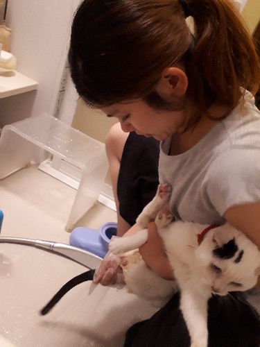 排泄後はお尻もきれいに洗いましょう