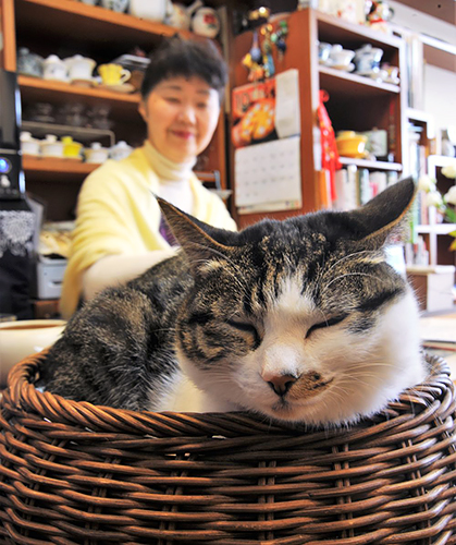大塚さんに見守られてすやすやと眠る