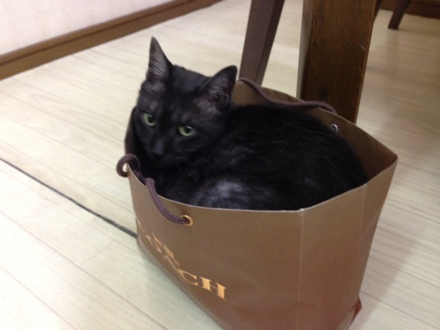 楽天トラベル提供