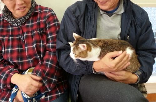 待ちあい室でミャーを抱く夫妻　常に笑顔でミャーに接していた