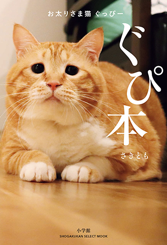 「お太りさま猫　ぐっぴー　ぐぴ本」