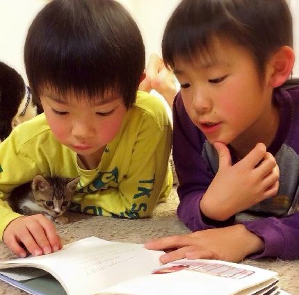 読書も子猫と一緒　　　写真＝神保枝美さん