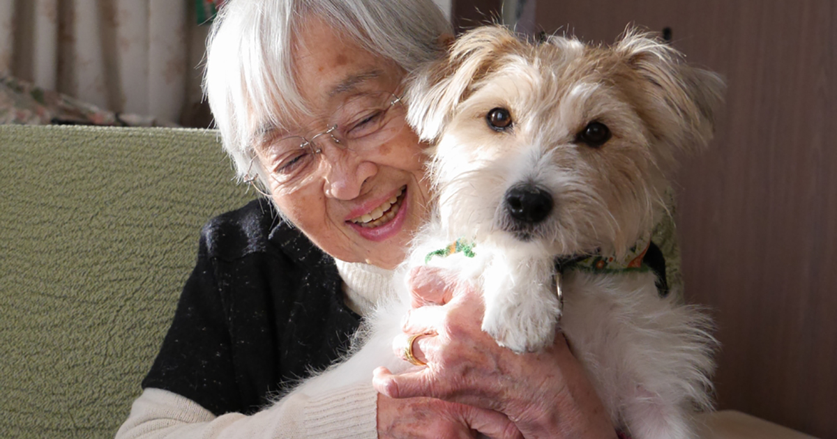 86歳女性の“家族”は9歳の犬 周囲が支え、生きがいに | 「犬や猫と