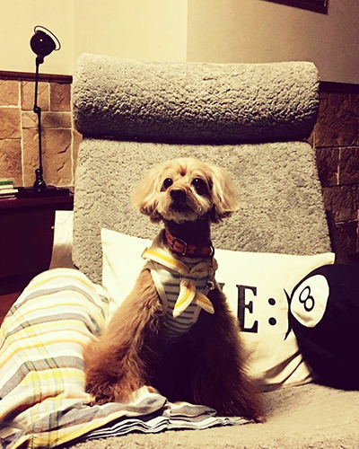 ホムパに参加、「このイス、座り心地サイコー！」