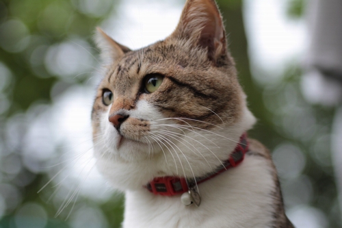震災当時　どこを見て何を想う（丹竜治さん撮影）