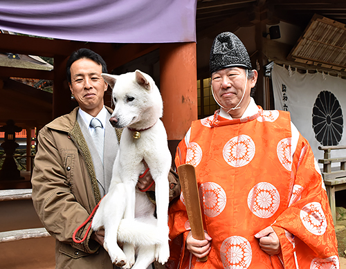 丹生都比売神社のご神犬「すずひめ号」＝かつらぎ町上天野 