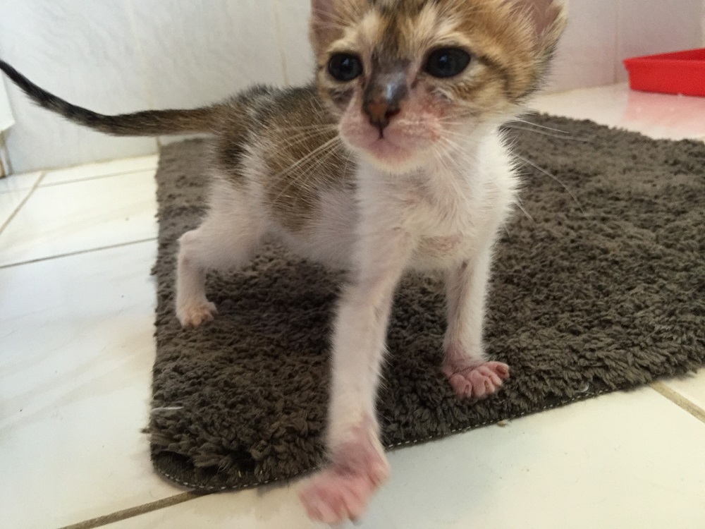 なんてまぁ可愛いことでしょう…