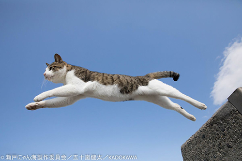 撮影・五十嵐健太