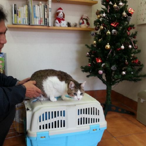 「一緒の時間が少しでも長く欲しい」それがサンタさんへの願い