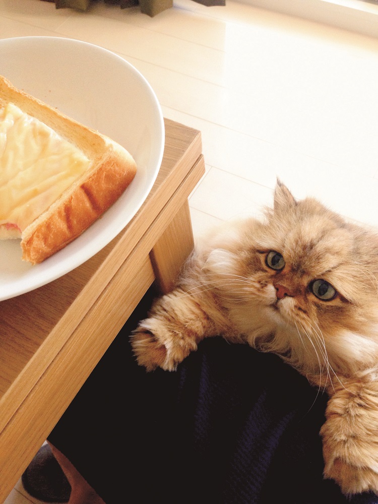 「おとうちゃん、トーストちょうだい！！」