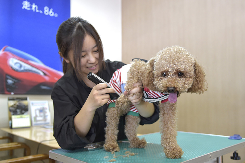 トリミング中も静かに待てるもん