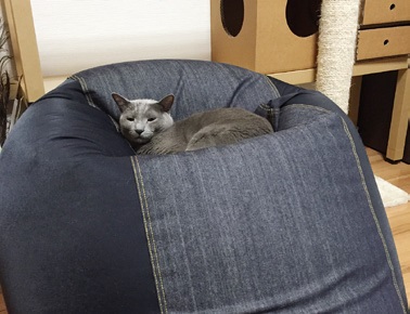 フィット感がたまらないソファ