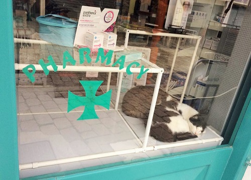 「ここでお店番していると、うっかり眠くなっちゃうのよね…」（スキアソス島）