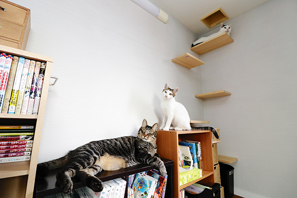 思い思いの場所でくつろぐトリオ