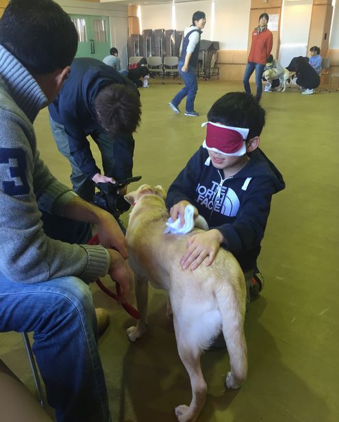 目の見えない人が犬をどうケアするか、体験中の龍大君（レクチャーで）