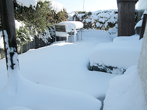 外はこんな感じでした。
