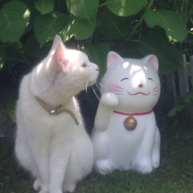 楽天トラベル提供