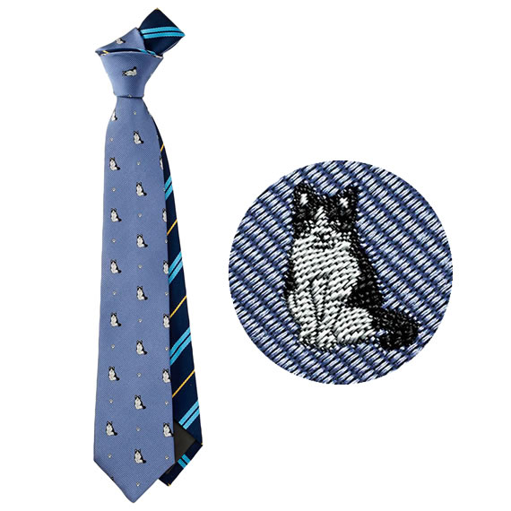 クールなハチワレ