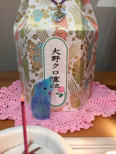 クロのお骨は今、愛さんの可愛がった先代の猫たちと共に自宅に安置されている