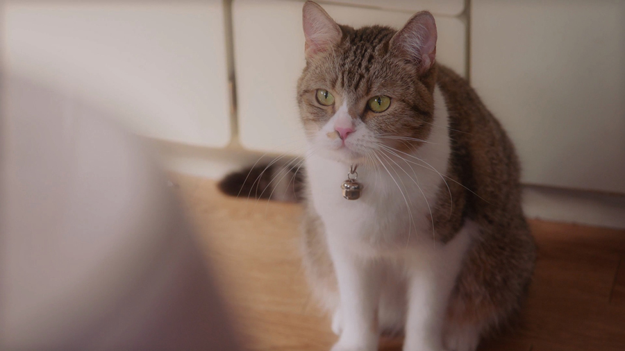 三菱電機「ニクイねぇ！シアター」 第3弾「Father」より